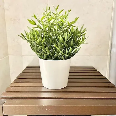 Apto La Muralla Centro - Playa Apartamento Gijón