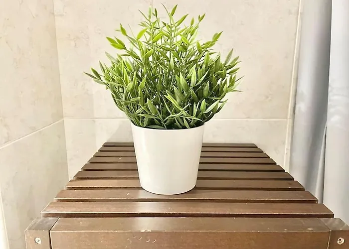 Apto La Muralla Centro - Playa דירה גיחון